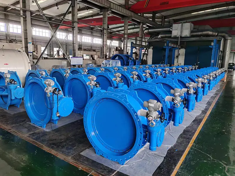 Double-Eccentric-Butterfly-Valve4