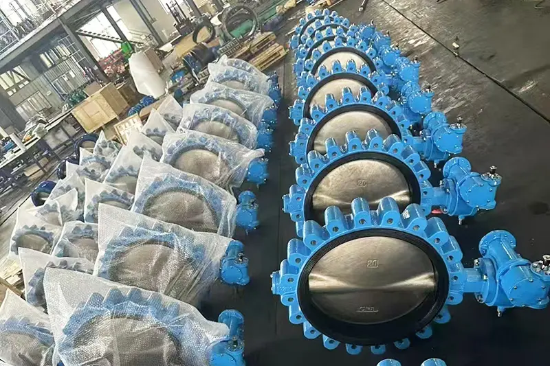 Concentric-Butterfly-Valve9