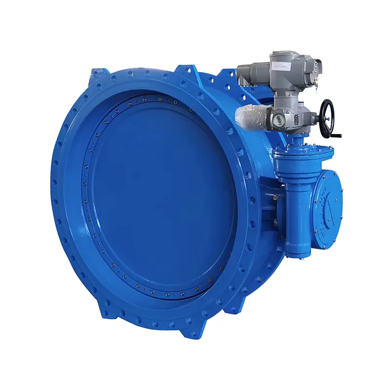 Double-Eccentric-Butterfly-Valve3.jpg