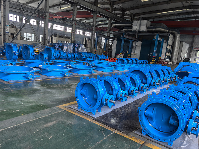 Double-Eccentric-Butterfly-Valve8