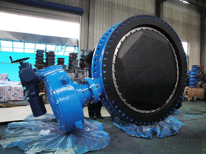 Rubber-lined-butetrfly-valve6