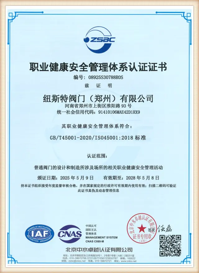 NST-ISO-45001-chinese